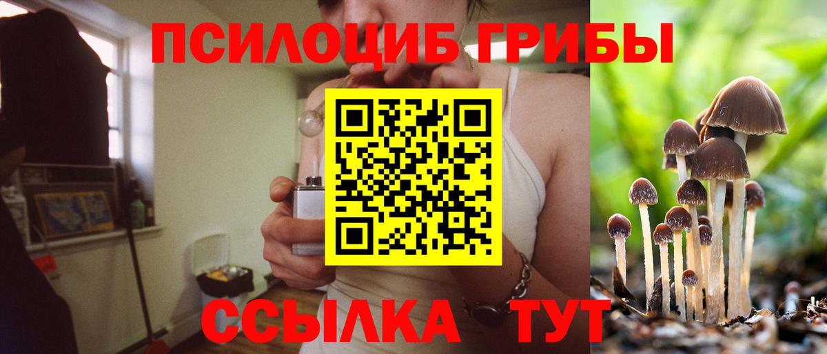 Галлюциногенные грибы MAGIC MUSHROOMS  Вход с VPN  Печора  купить наркоту  Псилоцибиновые грибы GOLDEN TEACHER 